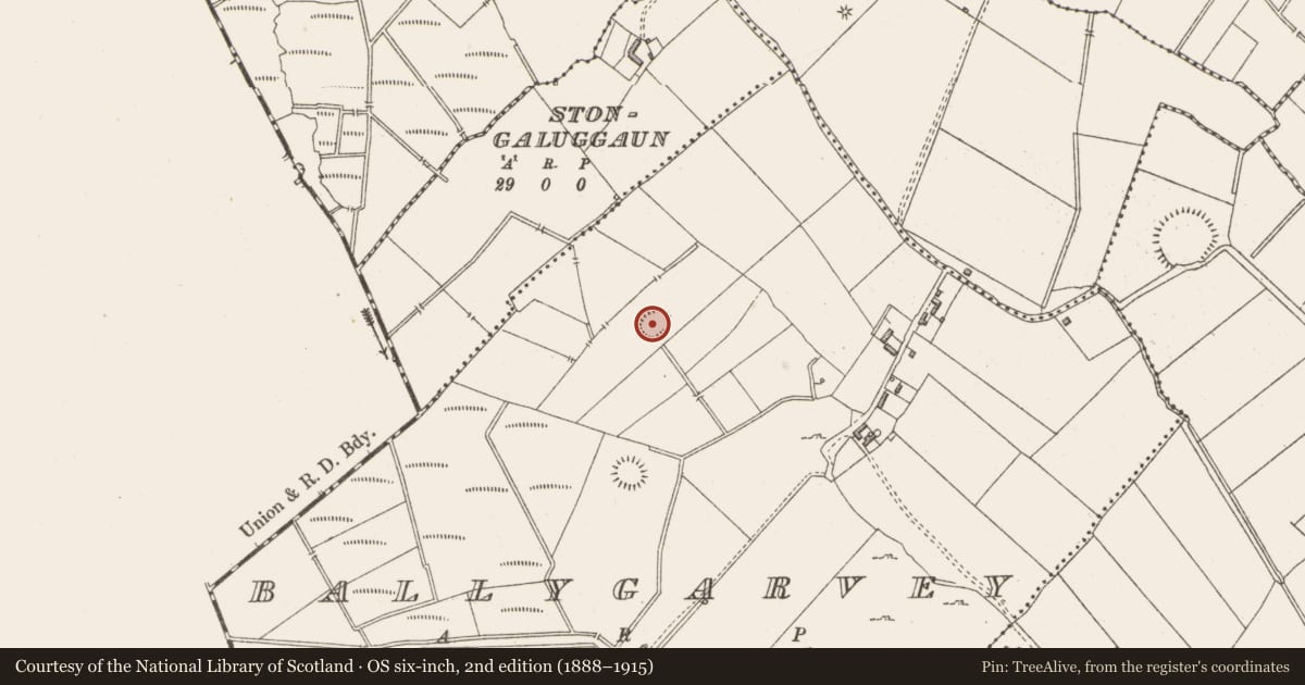Ordnance Survey six-inch map, 2nd edition (1888–1915) covering the location of Ringfort - rath, Ballygarvey, County Westmeath, with a pin at the register's coordinates