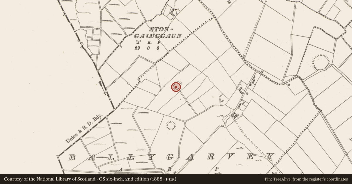 Ordnance Survey six-inch map, 2nd edition (1888–1915) covering the location of Hut site, Ballygarvey, County Westmeath, with a pin at the register's coordinates