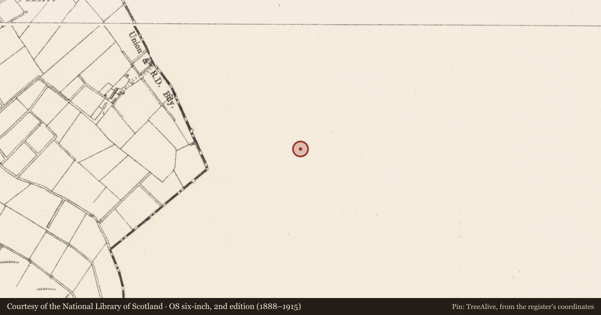 Ordnance Survey six-inch map, 2nd edition (1888–1915) covering the location of Hut site, Ballygarvey, County Westmeath, with a pin at the register's coordinates