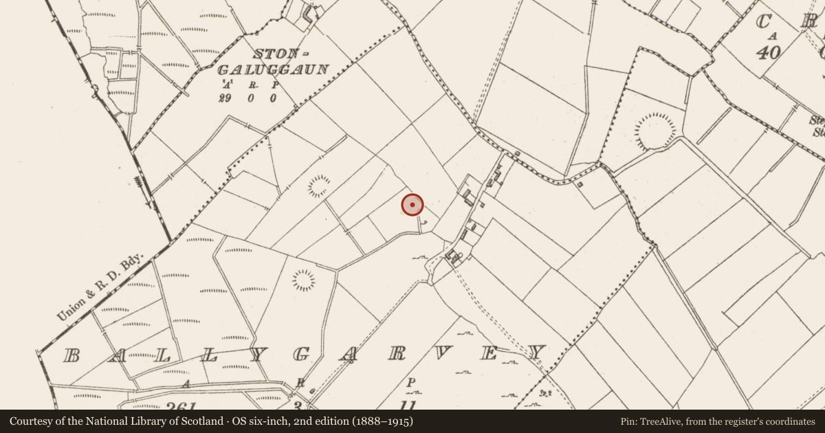 Ordnance Survey six-inch map, 2nd edition (1888–1915) covering the location of Ringfort - rath, Ballygarvey, County Westmeath, with a pin at the register's coordinates