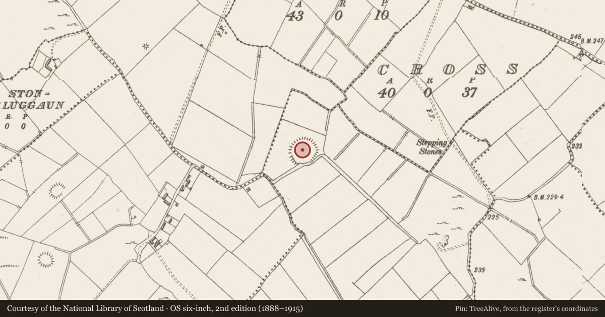 Ordnance Survey six-inch map, 2nd edition (1888–1915) covering the location of Concentric enclosure, Carrigagh, County Westmeath, with a pin at the register's coordinates