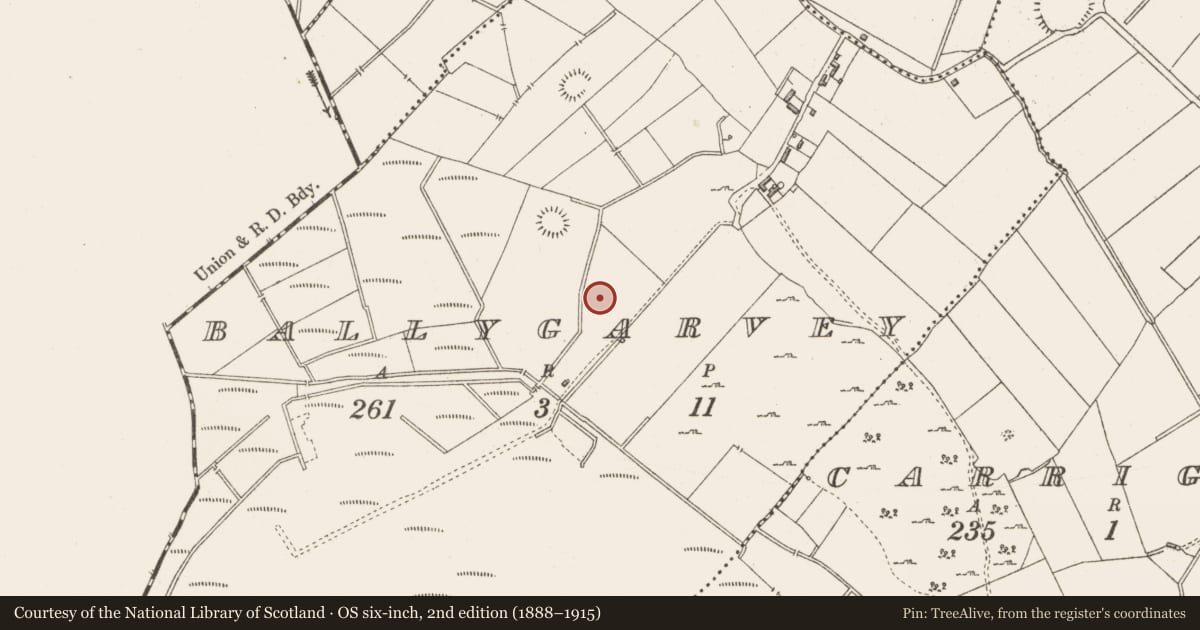 Ordnance Survey six-inch map, 2nd edition (1888–1915) covering the location of Ringfort - unclassified, Ballygarvey, County Westmeath, with a pin at the register's coordinates