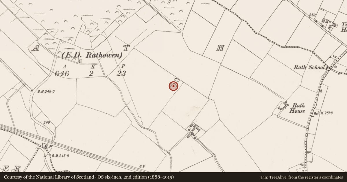 Ordnance Survey six-inch map, 2nd edition (1888–1915) covering the location of Barrow - ring-barrow, Rath, County Westmeath, with a pin at the register's coordinates