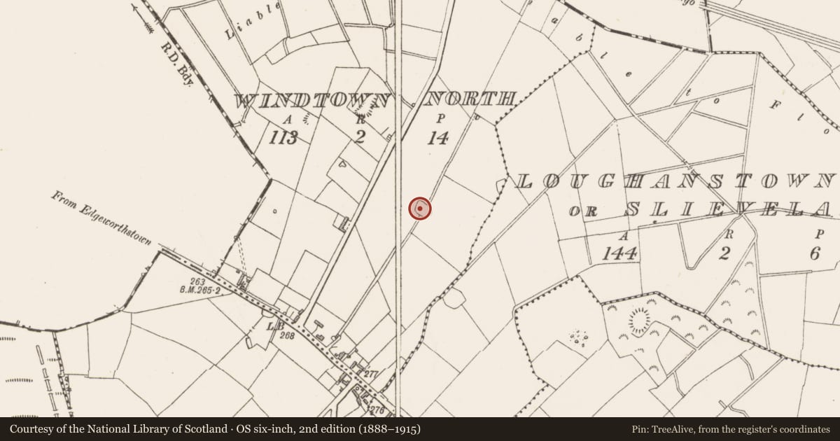 Ordnance Survey six-inch map, 2nd edition (1888–1915) covering the location of Ringfort - rath, Windtown North, County Westmeath, with a pin at the register's coordinates