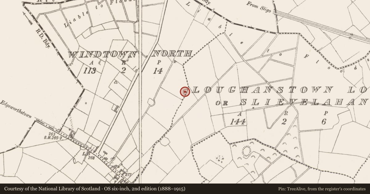 Ordnance Survey six-inch map, 2nd edition (1888–1915) covering the location of Ringfort - rath, Loughanstown Lower Or Slievelahan, Windtown North, County Westmeath, with a pin at the register's coordinates