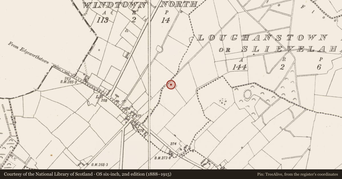 Ordnance Survey six-inch map, 2nd edition (1888–1915) covering the location of Ringfort - rath, Loughanstown Lower Or Slievelahan, County Westmeath, with a pin at the register's coordinates