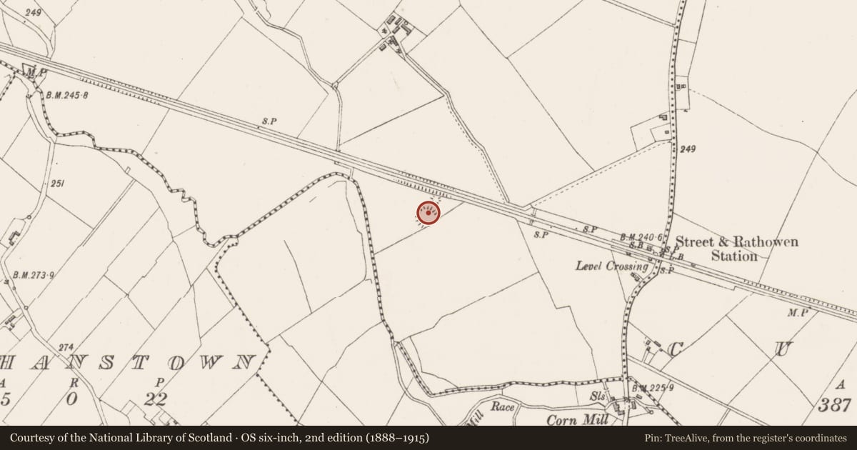 Ordnance Survey six-inch map, 2nd edition (1888–1915) covering the location of Ringfort - rath, County Westmeath, with a pin at the register's coordinates