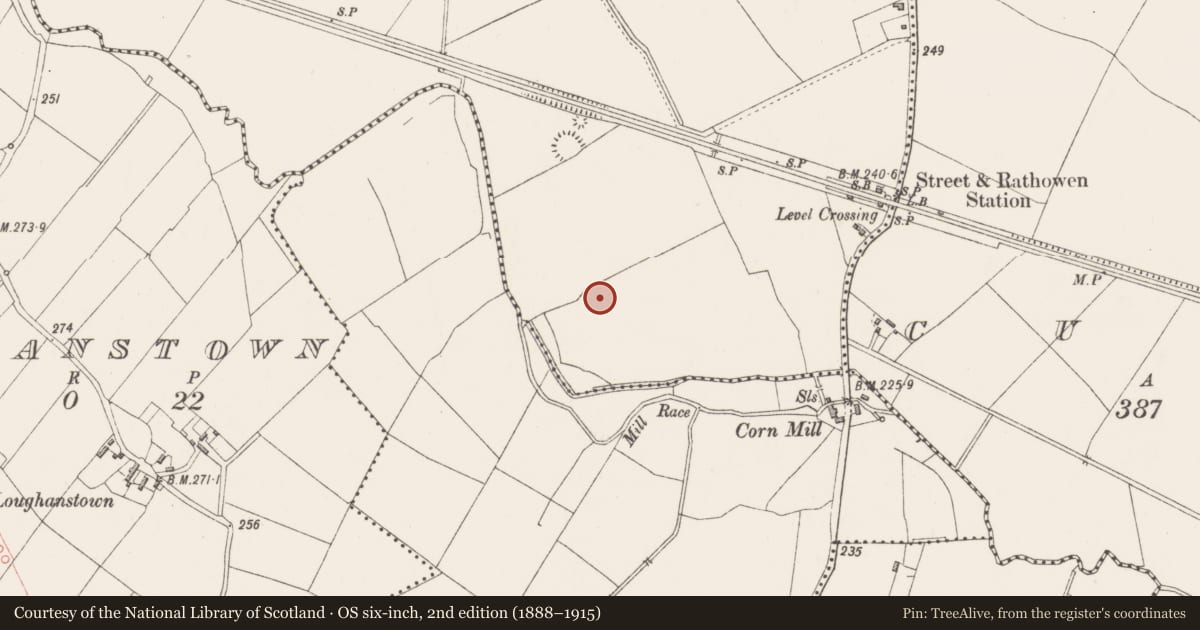 Ordnance Survey six-inch map, 2nd edition (1888–1915) covering the location of Ringfort - rath, County Westmeath, with a pin at the register's coordinates