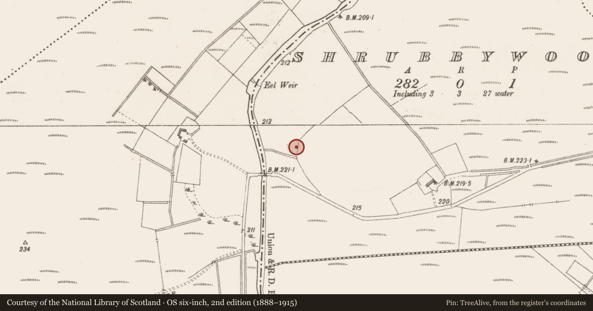 Ordnance Survey six-inch map, 2nd edition (1888–1915) covering the location of Ringfort - rath, Shrubbywood, County Westmeath, with a pin at the register's coordinates
