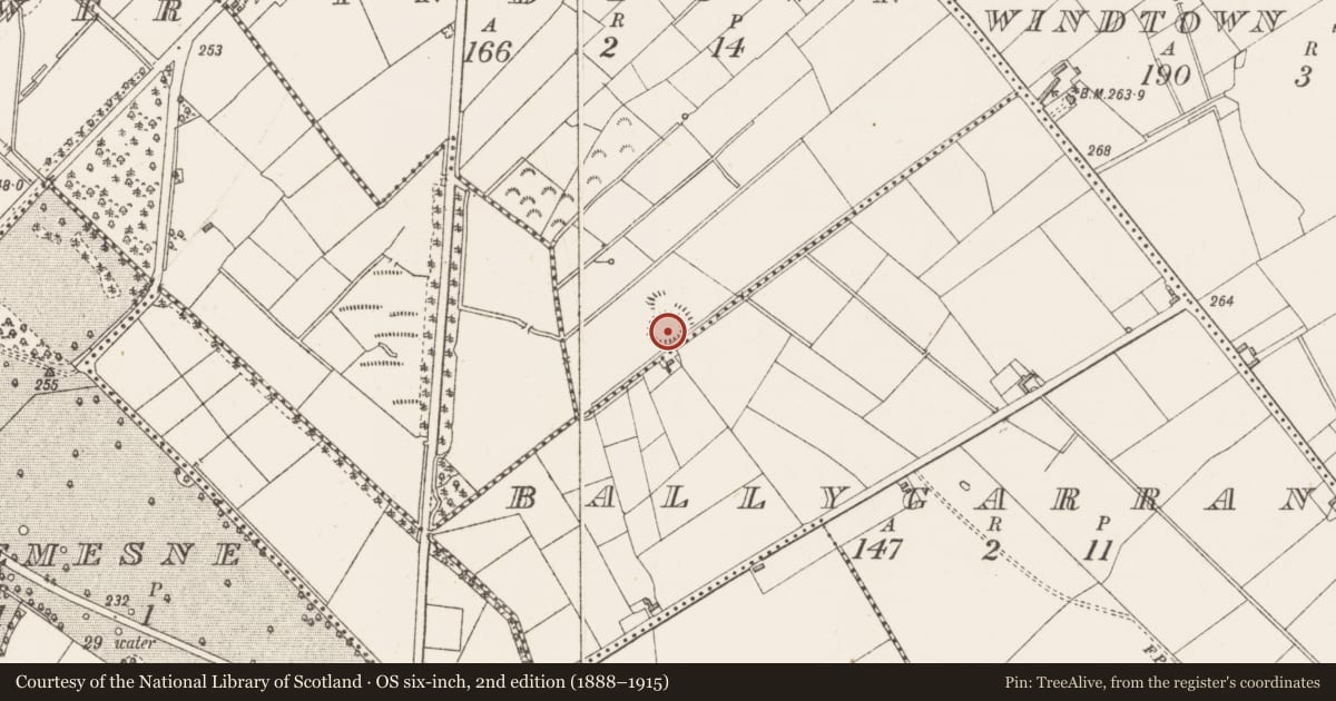 Ordnance Survey six-inch map, 2nd edition (1888–1915) covering the location of Ringfort - rath, Windtown, County Westmeath, with a pin at the register's coordinates