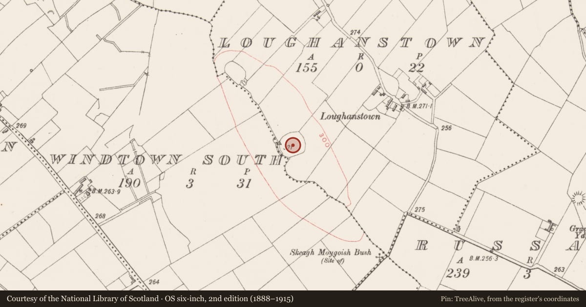 Ordnance Survey six-inch map, 2nd edition (1888–1915) covering the location of Ringfort - rath, Loughanstown, County Westmeath, with a pin at the register's coordinates