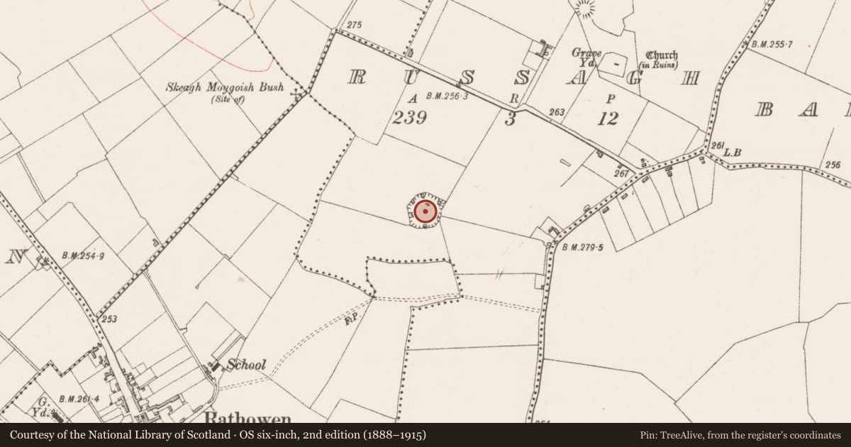 Ordnance Survey six-inch map, 2nd edition (1888–1915) covering the location of Ringfort - rath, Russagh, County Westmeath, with a pin at the register's coordinates
