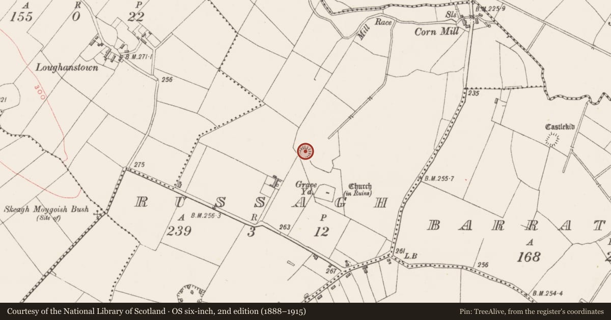 Ordnance Survey six-inch map, 2nd edition (1888–1915) covering the location of Castle - motte, Russagh, County Westmeath, with a pin at the register's coordinates
