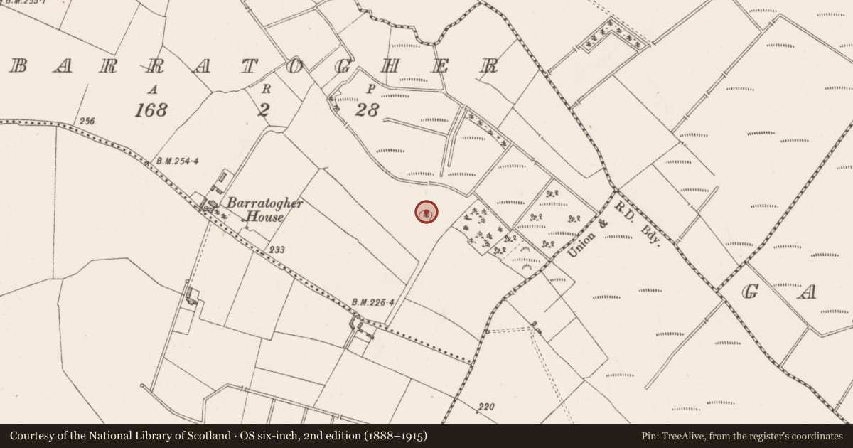Ordnance Survey six-inch map, 2nd edition (1888–1915) covering the location of Designed landscape - tree-ring, Barratogher, County Westmeath, with a pin at the register's coordinates