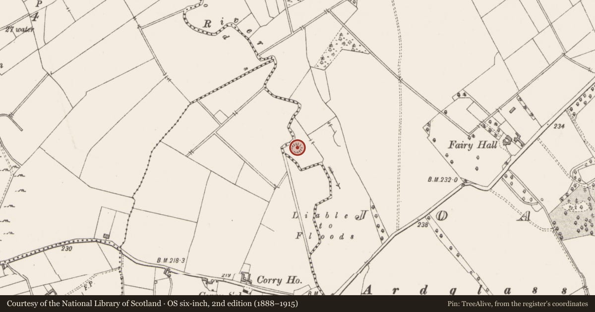 Ordnance Survey six-inch map, 2nd edition (1888–1915) covering the location of Castle - motte and bailey, Joanstown, County Westmeath, with a pin at the register's coordinates