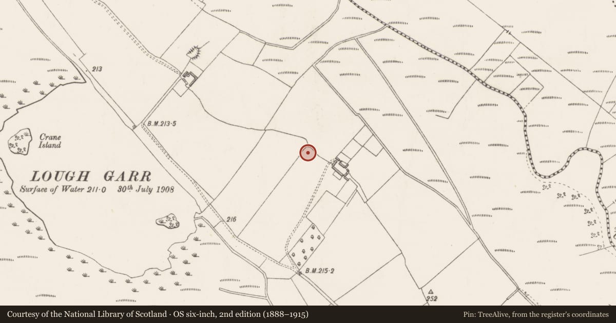 Ordnance Survey six-inch map, 2nd edition (1888–1915) covering the location of Enclosure, Cappagh, County Westmeath, with a pin at the register's coordinates
