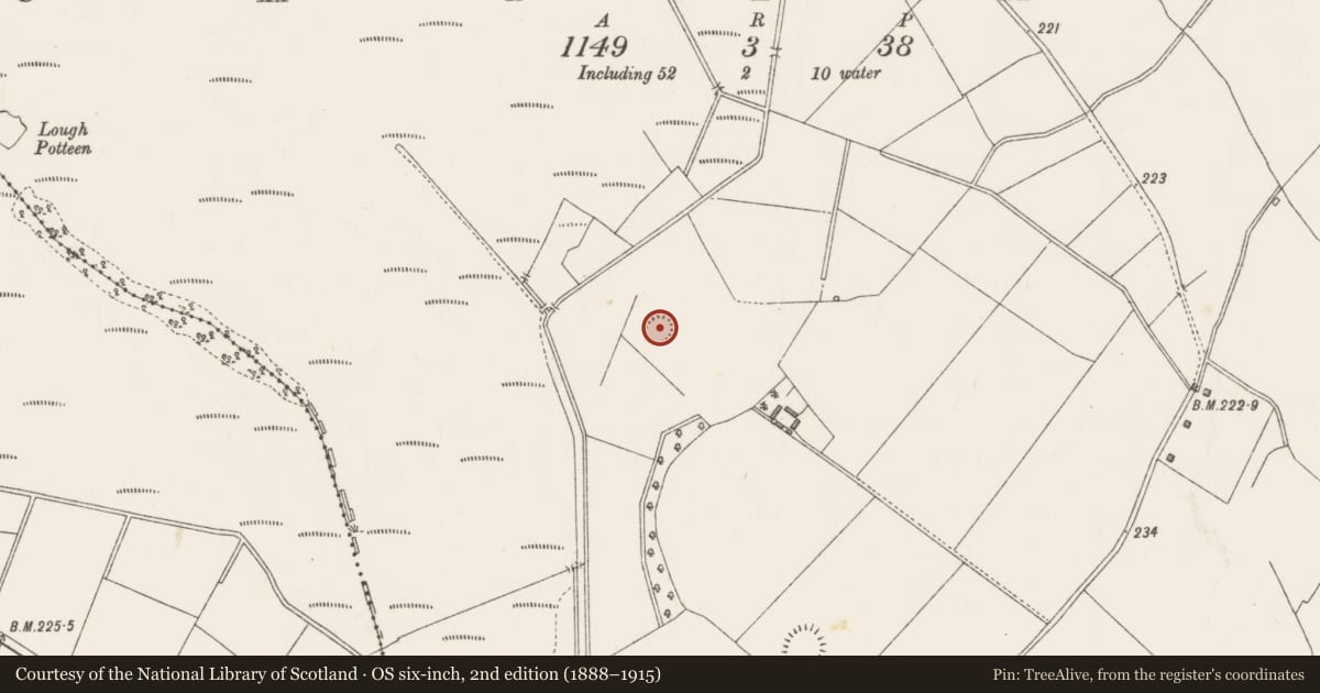 Ordnance Survey six-inch map, 2nd edition (1888–1915) covering the location of Ringfort - rath, Cappagh, County Westmeath, with a pin at the register's coordinates