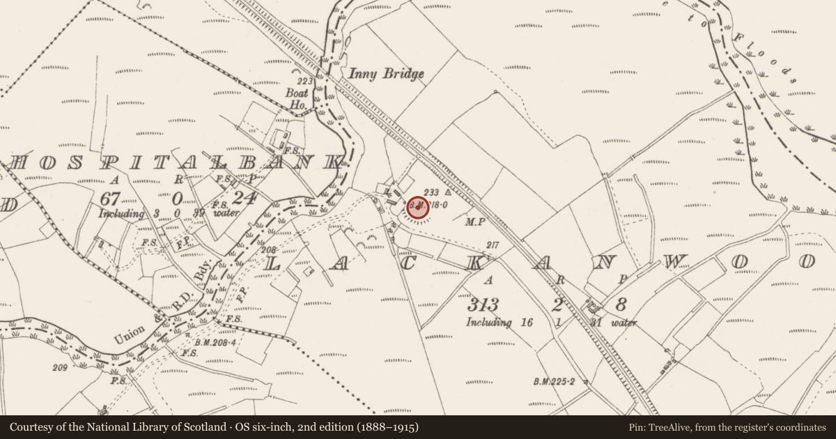 Ordnance Survey six-inch map, 2nd edition (1888–1915) covering the location of Ringfort - unclassified, Lackanwood, County Westmeath, with a pin at the register's coordinates
