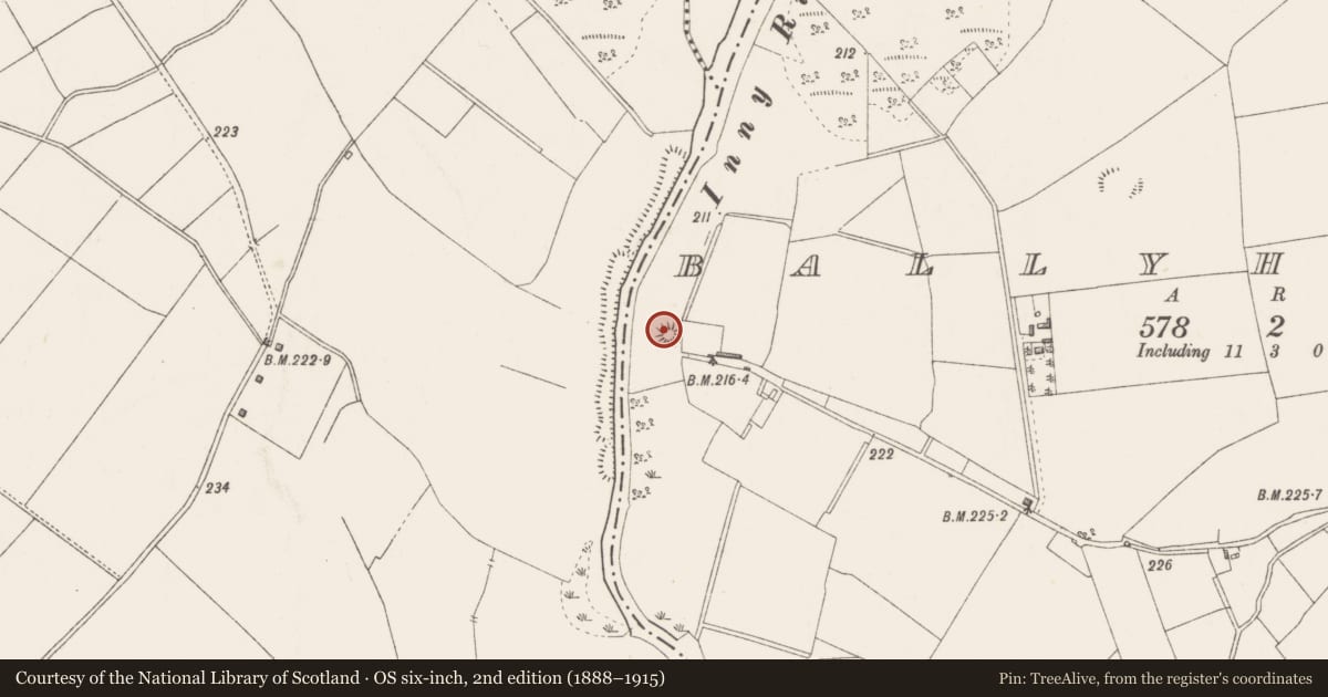 Ordnance Survey six-inch map, 2nd edition (1888–1915) covering the location of Castle - motte and bailey, Ballyharney, County Westmeath, with a pin at the register's coordinates