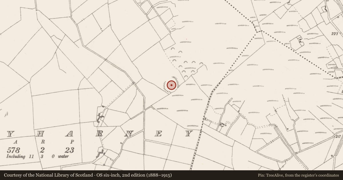 Ordnance Survey six-inch map, 2nd edition (1888–1915) covering the location of Ringfort - rath, Ballyharney, County Westmeath, with a pin at the register's coordinates