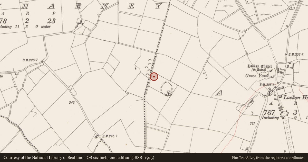 Ordnance Survey six-inch map, 2nd edition (1888–1915) covering the location of Ringfort - rath, Lackan, County Westmeath, with a pin at the register's coordinates