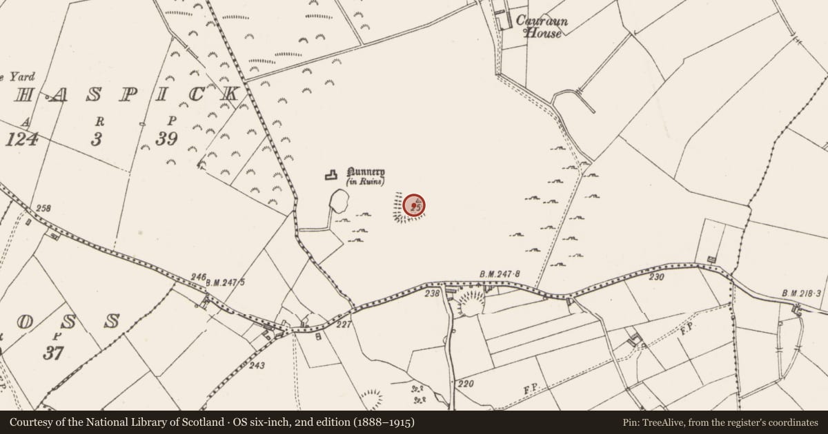 Ordnance Survey six-inch map, 2nd edition (1888–1915) covering the location of Settlement deserted - medieval, Kilmacahill, County Westmeath, with a pin at the register's coordinates