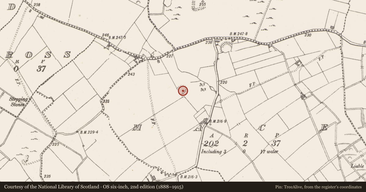 Ordnance Survey six-inch map, 2nd edition (1888–1915) covering the location of Ringfort - rath, MacE, County Westmeath, with a pin at the register's coordinates