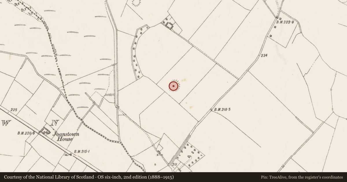 Ordnance Survey six-inch map, 2nd edition (1888–1915) covering the location of Standing stone, Cappagh, County Westmeath, with a pin at the register's coordinates