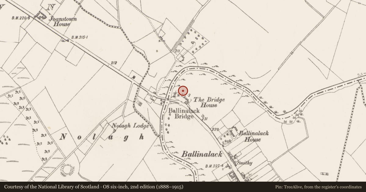 Ordnance Survey six-inch map, 2nd edition (1888–1915) covering the location of Castle - unclassified, Ballinalack, County Westmeath, with a pin at the register's coordinates