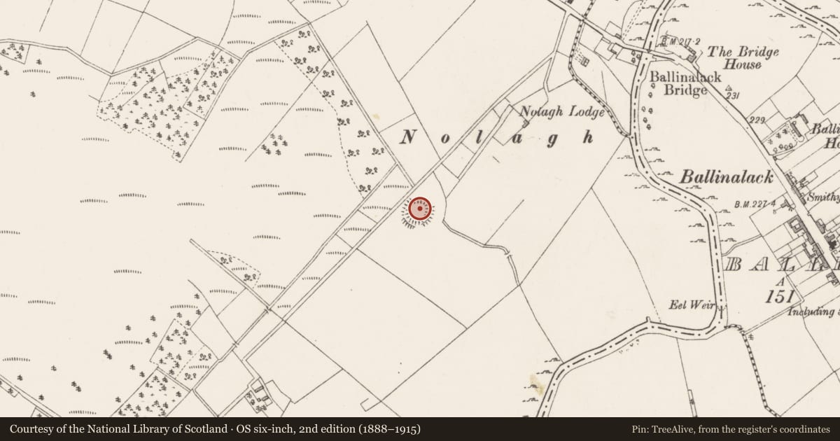 Ordnance Survey six-inch map, 2nd edition (1888–1915) covering the location of Ringfort - rath, Joanstown, County Westmeath, with a pin at the register's coordinates