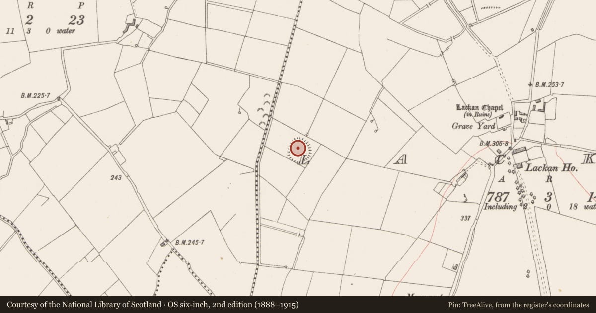Ordnance Survey six-inch map, 2nd edition (1888–1915) covering the location of Ringfort - rath, Lackan, County Westmeath, with a pin at the register's coordinates