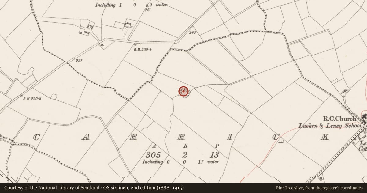 Ordnance Survey six-inch map, 2nd edition (1888–1915) covering the location of Ringfort - rath, Carrick, County Westmeath, with a pin at the register's coordinates