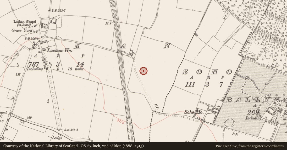 Ordnance Survey six-inch map, 2nd edition (1888–1915) covering the location of Ringfort - rath, Lackan, County Westmeath, with a pin at the register's coordinates