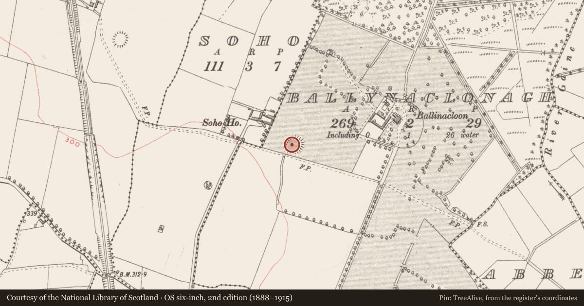Ordnance Survey six-inch map, 2nd edition (1888–1915) covering the location of Ringfort - unclassified, Ballynaclonagh, County Westmeath, with a pin at the register's coordinates