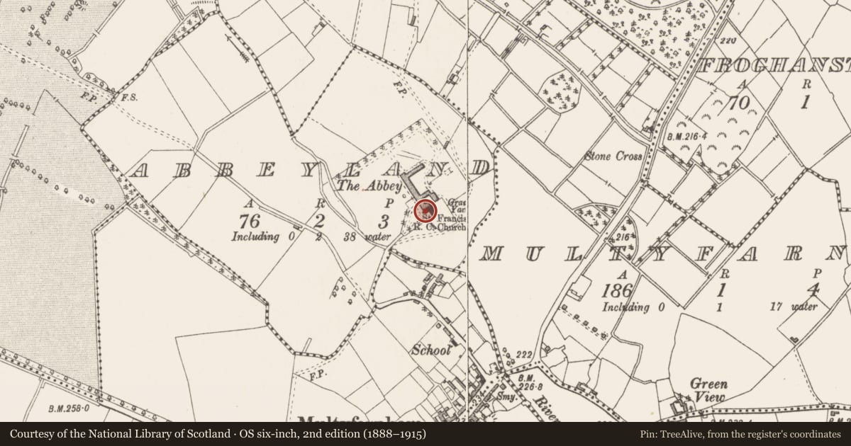 Ordnance Survey six-inch map, 2nd edition (1888–1915) covering the location of Religious house - Franciscan friars, Abbeyland, County Westmeath, with a pin at the register's coordinates