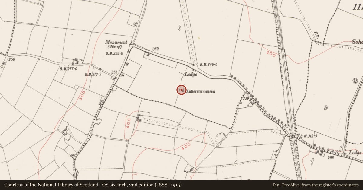 Ordnance Survey six-inch map, 2nd edition (1888–1915) covering the location of Ritual site - holy well, Lackan, County Westmeath, with a pin at the register's coordinates