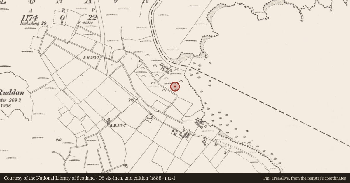 Ordnance Survey six-inch map, 2nd edition (1888–1915) covering the location of Habitation site, Clonava, County Westmeath, with a pin at the register's coordinates