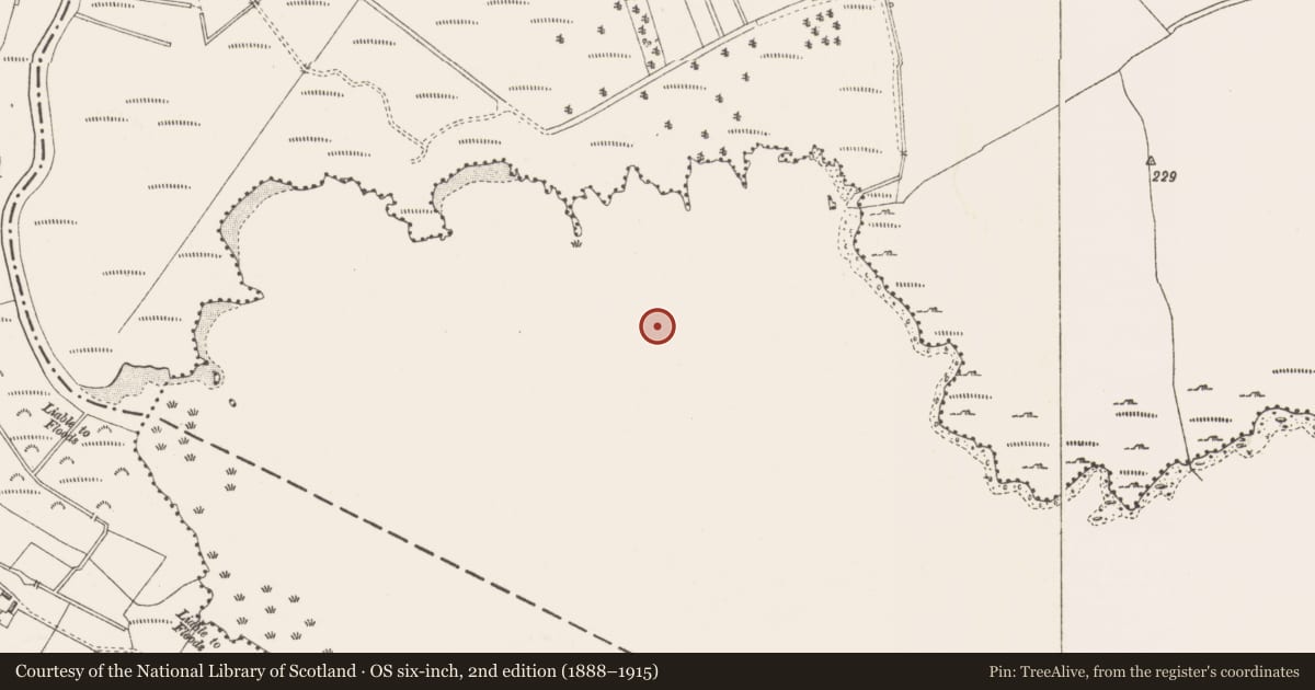 Ordnance Survey six-inch map, 2nd edition (1888–1915) covering the location of Prehistoric site - lithic scatter, Derrya, County Westmeath, with a pin at the register's coordinates