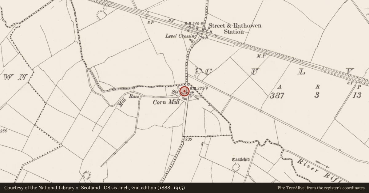Ordnance Survey six-inch map, 2nd edition (1888–1915) covering the location of Water mill - unclassified, Russagh, County Westmeath, with a pin at the register's coordinates