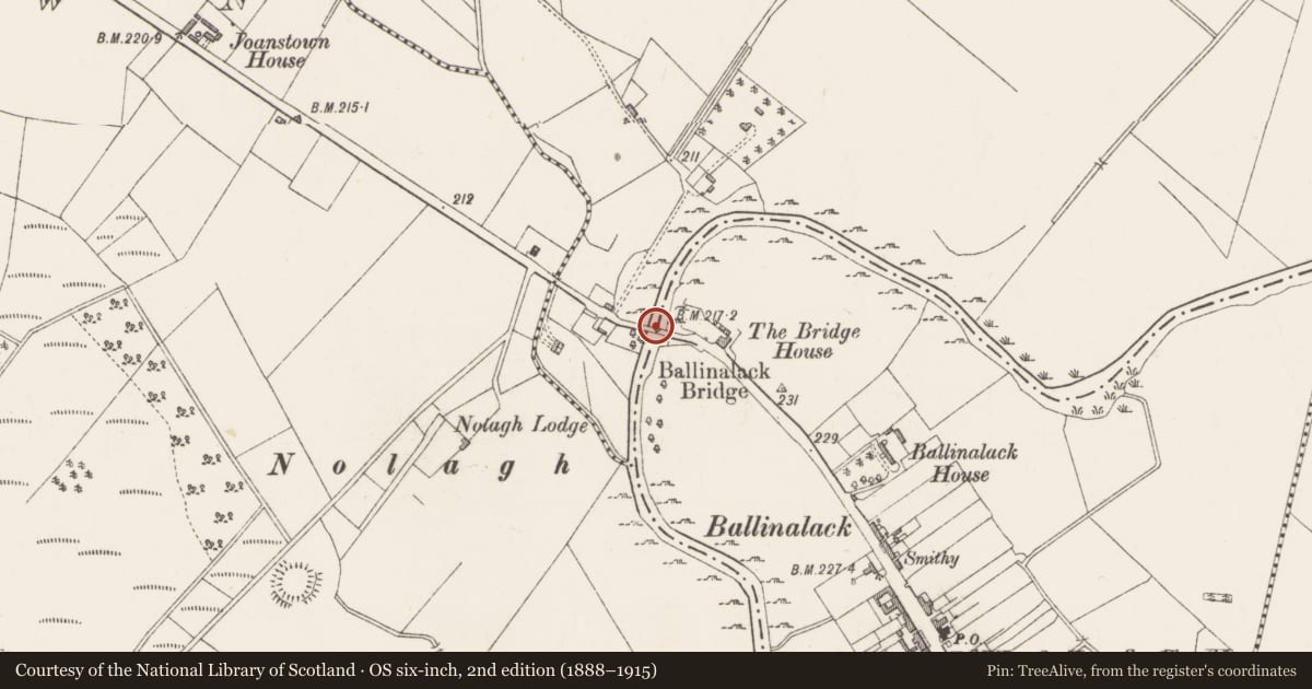 Ordnance Survey six-inch map, 2nd edition (1888–1915) covering the location of Bridge, Ballinalack, County Westmeath, with a pin at the register's coordinates