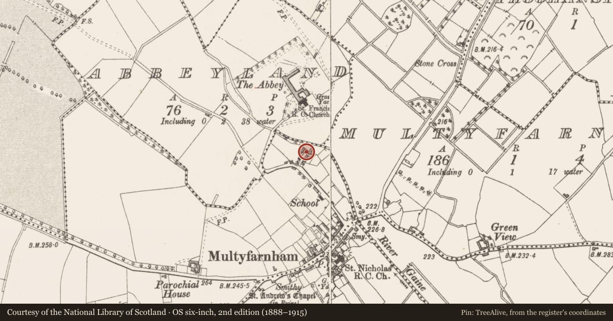 Ordnance Survey six-inch map, 2nd edition (1888–1915) covering the location of Water mill - unclassified, Rathganny, County Westmeath, with a pin at the register's coordinates