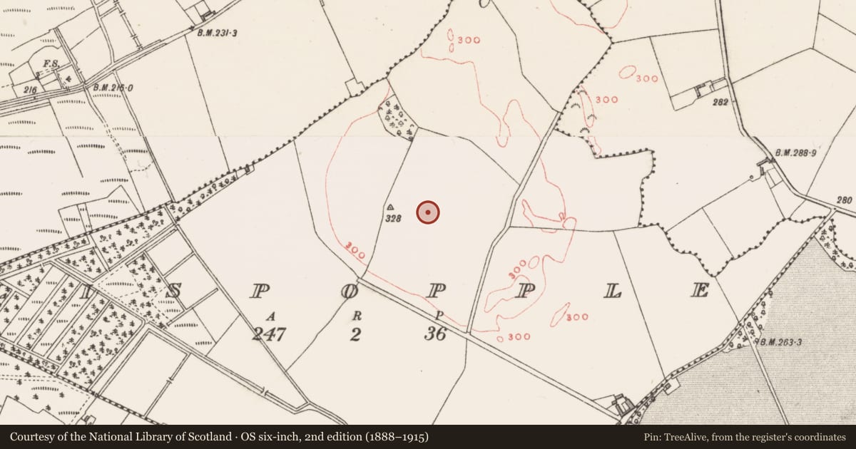 Ordnance Survey six-inch map, 2nd edition (1888–1915) covering the location of Ringfort - unclassified, Lispopple, County Westmeath, with a pin at the register's coordinates