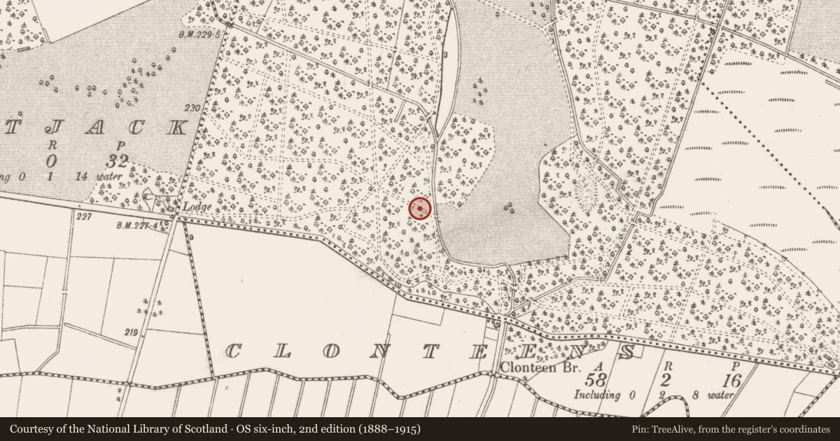 Ordnance Survey six-inch map, 2nd edition (1888–1915) covering the location of Icehouse, Pakenhamhall Or Tullynally, County Westmeath, with a pin at the register's coordinates