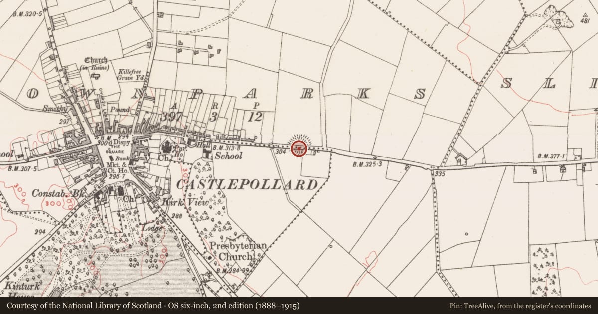 Ordnance Survey six-inch map, 2nd edition (1888–1915) covering the location of Ringfort - rath, Kinturk Demesne, Townparks, County Westmeath, with a pin at the register's coordinates