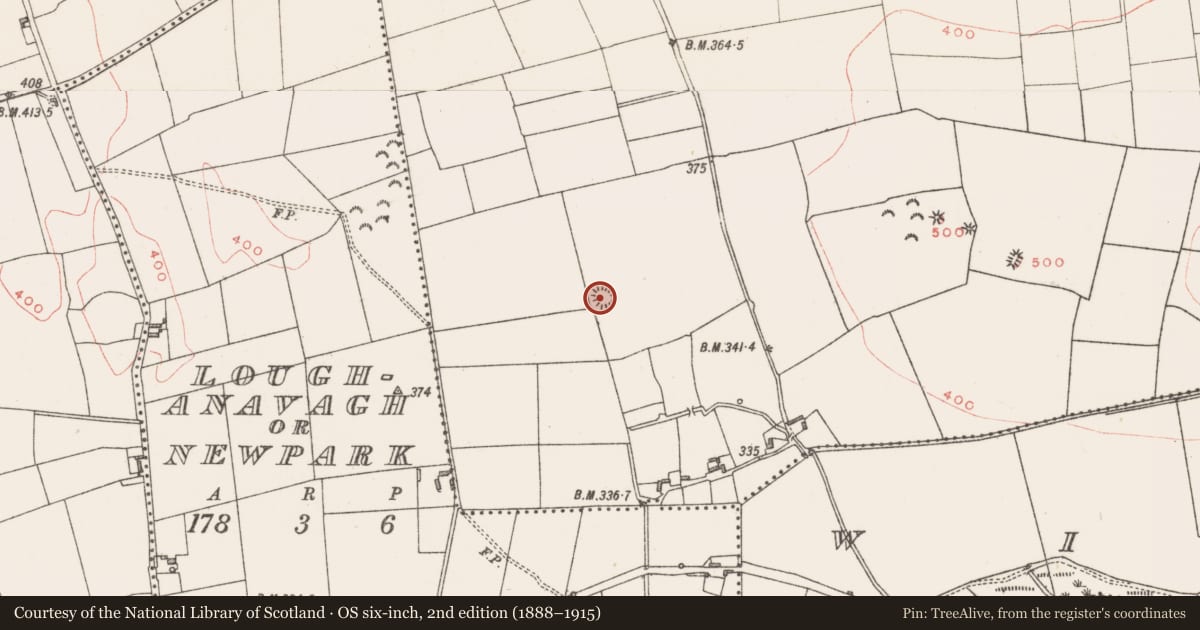 Ordnance Survey six-inch map, 2nd edition (1888–1915) covering the location of Ringfort - rath, Lakill And Moortown, County Westmeath, with a pin at the register's coordinates