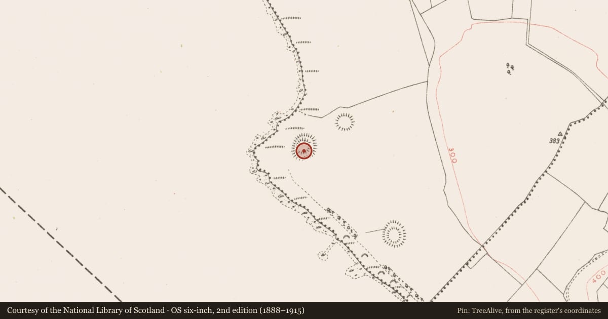 Ordnance Survey six-inch map, 2nd edition (1888–1915) covering the location of Earthwork, Kiltoom, County Westmeath, with a pin at the register's coordinates