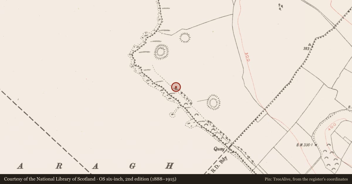 Ordnance Survey six-inch map, 2nd edition (1888–1915) covering the location of Earthwork, Kiltoom, County Westmeath, with a pin at the register's coordinates