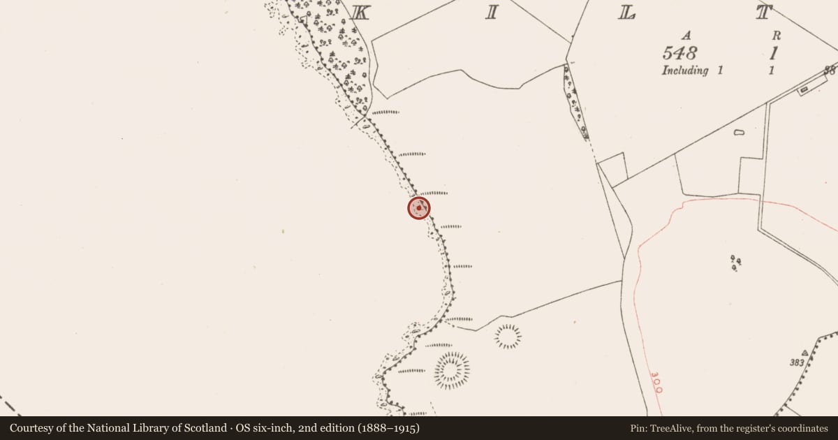 Ordnance Survey six-inch map, 2nd edition (1888–1915) covering the location of Crannog, Kiltoom, County Westmeath, with a pin at the register's coordinates