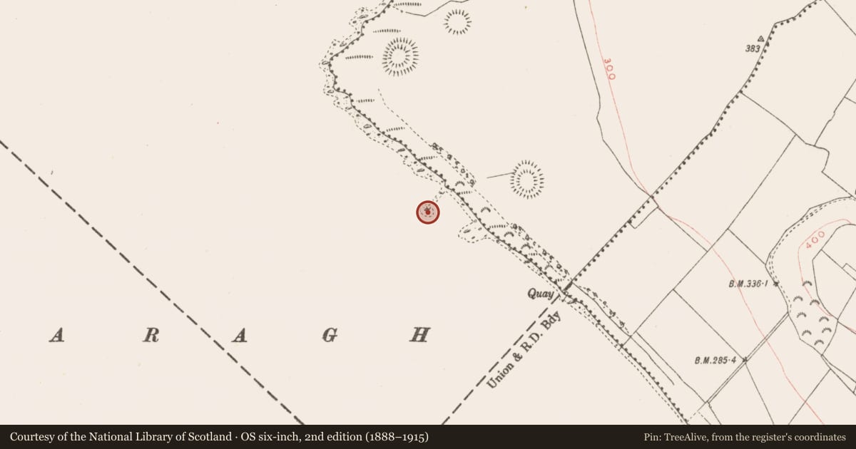 Ordnance Survey six-inch map, 2nd edition (1888–1915) covering the location of Crannog, Kiltoom, County Westmeath, with a pin at the register's coordinates