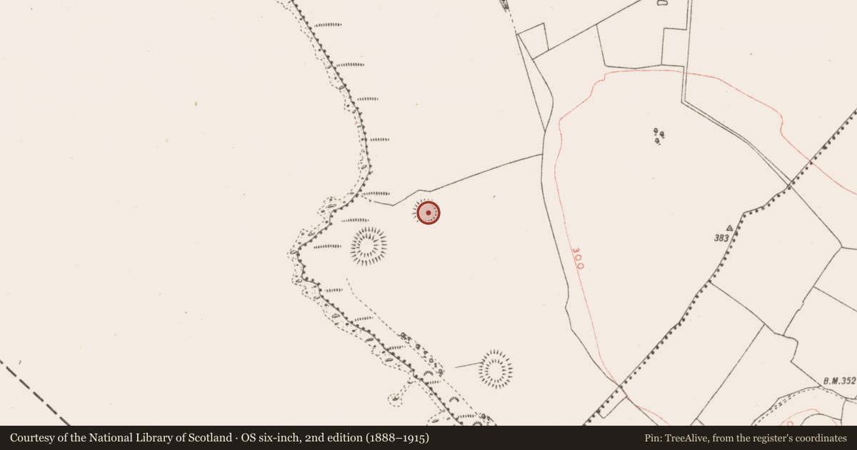 Ordnance Survey six-inch map, 2nd edition (1888–1915) covering the location of Earthwork, Kiltoom, County Westmeath, with a pin at the register's coordinates